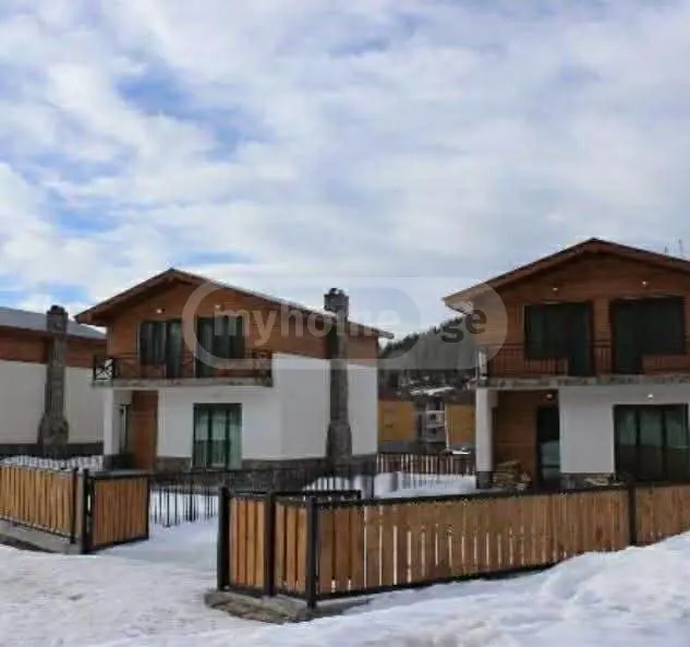 3 Room Country House Daily Rent In Bakuriani view 13