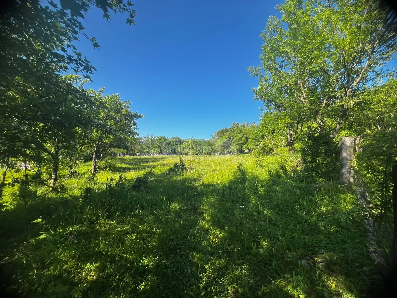 Non-Agricultural Plot For Sale In Kvibisi, In Borjomi Municipality view 3
