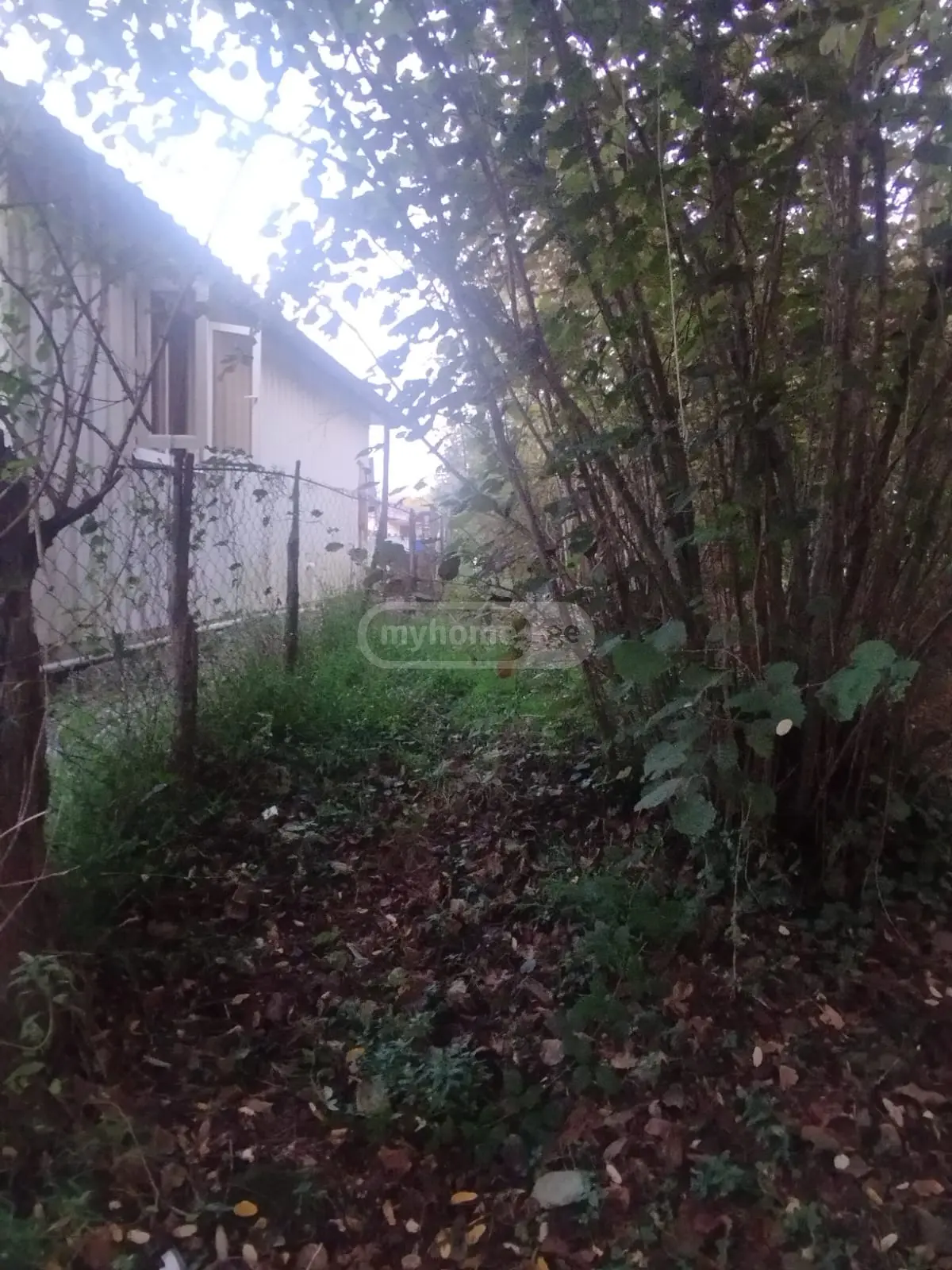 იყიდება Agricultural Plot In Zugdidiში view 8