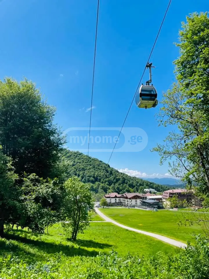 1 Room Hotel Daily Rent In Bakuriani view 10