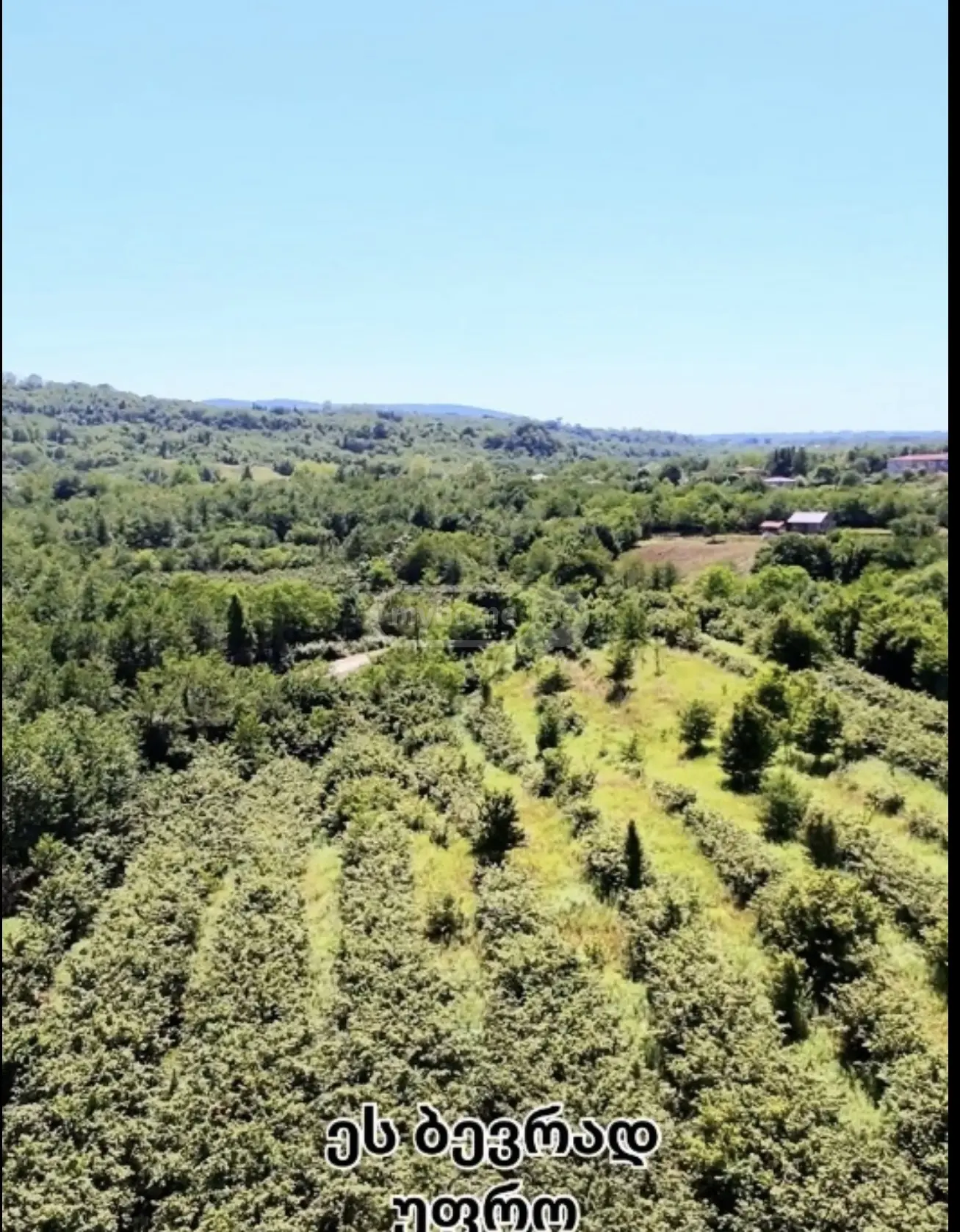 Продажа Agricultural Plot в In Zugdidi view 11