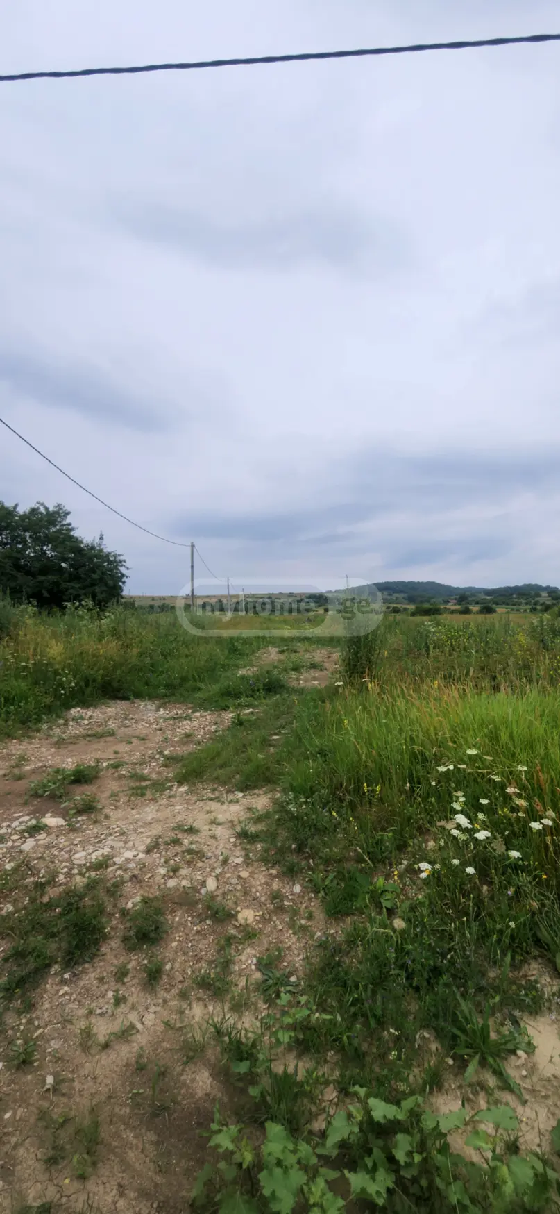 Продажа Agricultural Plot в In Tianeti, In Tianeti Municipality view 9