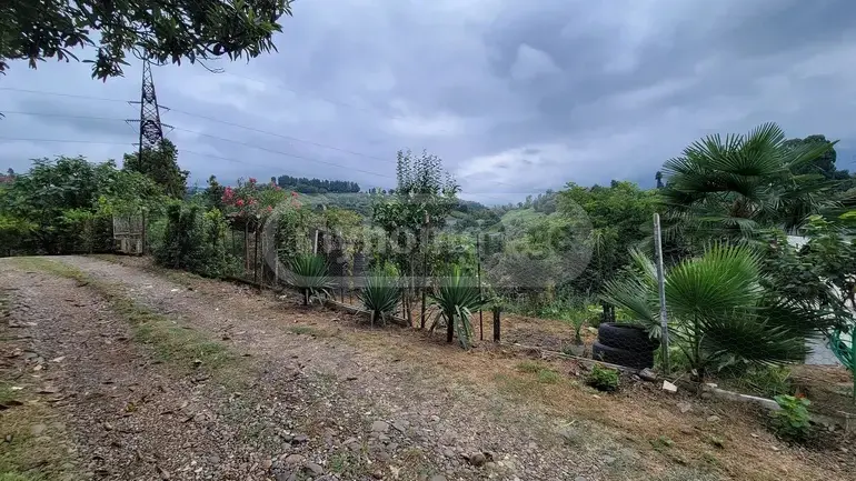 იყიდება Agricultural Plot In Buknari, In Kobuleti Municipalityში view 4