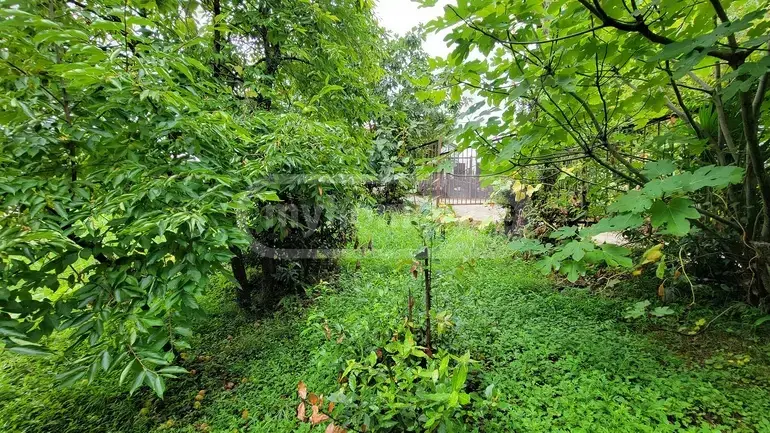 იყიდება Agricultural Plot In Buknari, In Kobuleti Municipalityში view 2