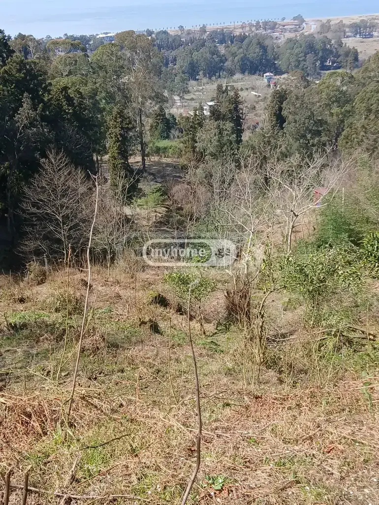 Agricultural Plot For Sale In Gonio, In Khelvachauri Municipality view 3