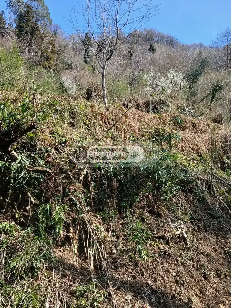 Agricultural Plot For Sale In Gonio, In Khelvachauri Municipality view 7