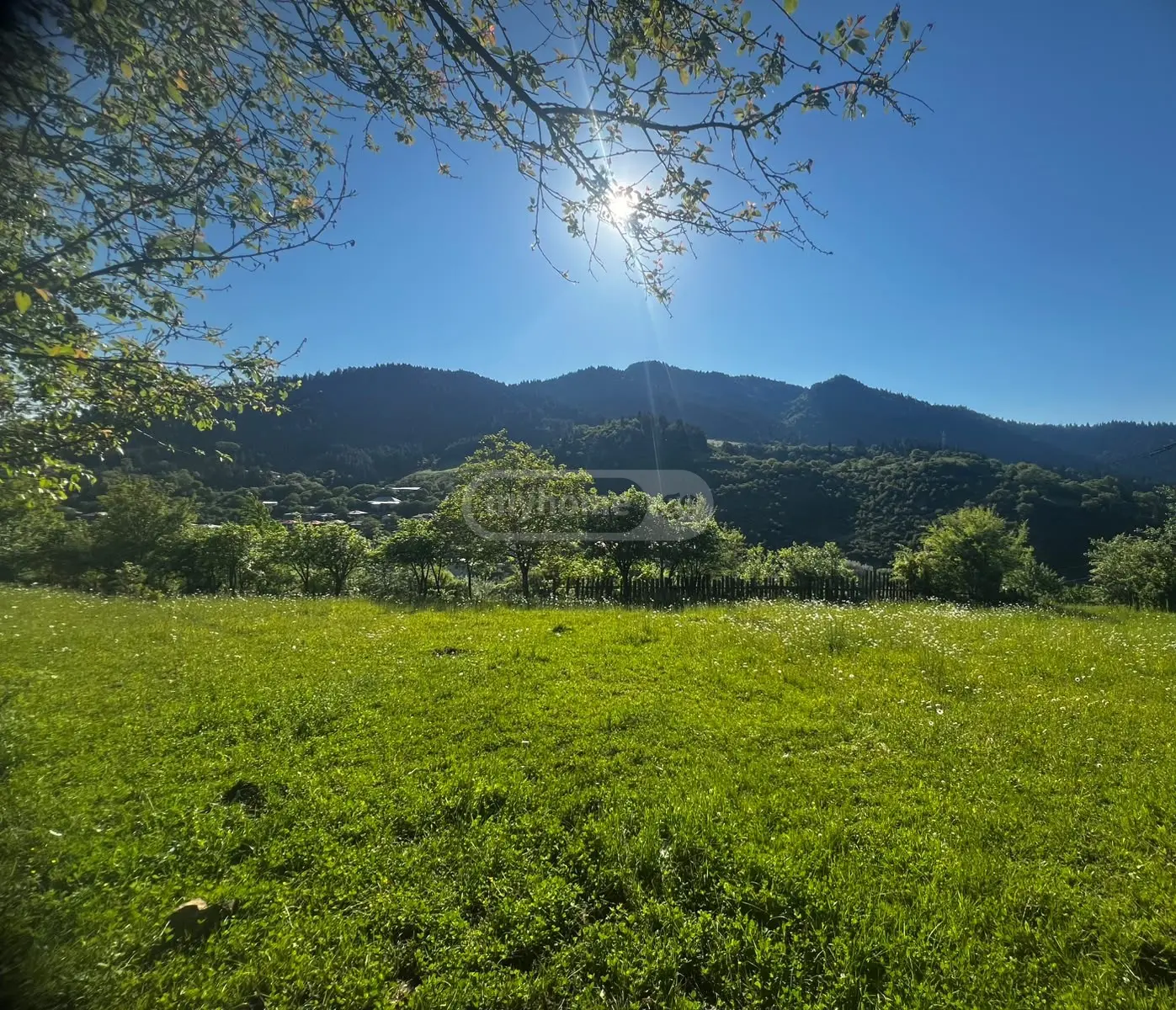 Non-Agricultural Plot For Sale In Kvibisi, In Borjomi Municipality view 1