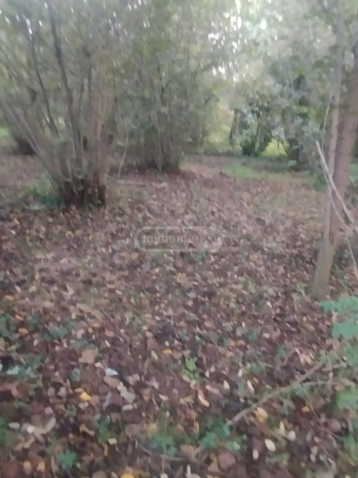 იყიდება Agricultural Plot In Zugdidiში view 7