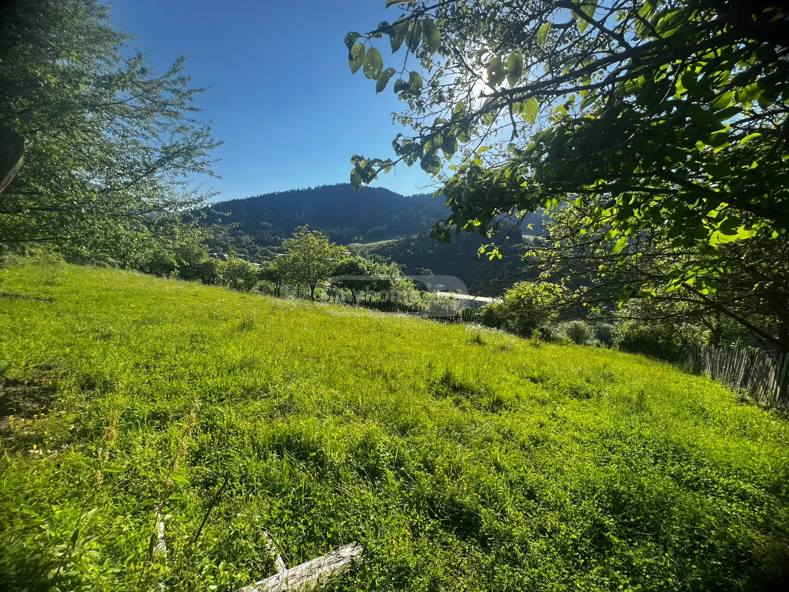 Non-Agricultural Plot For Sale In Kvibisi, In Borjomi Municipality view 6