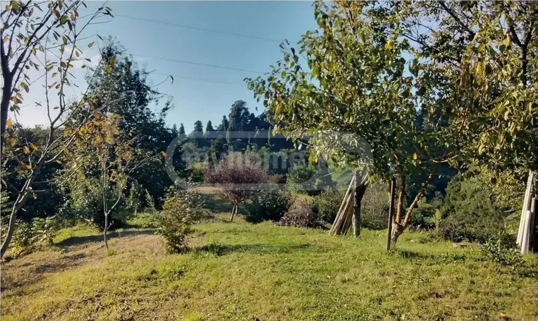 Agricultural Plot For Sale In Kobuleti view 1