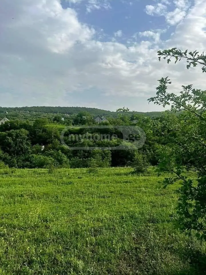 Agricultural Plot For Sale In Ujarma, In Sagarejo Municipality view 1