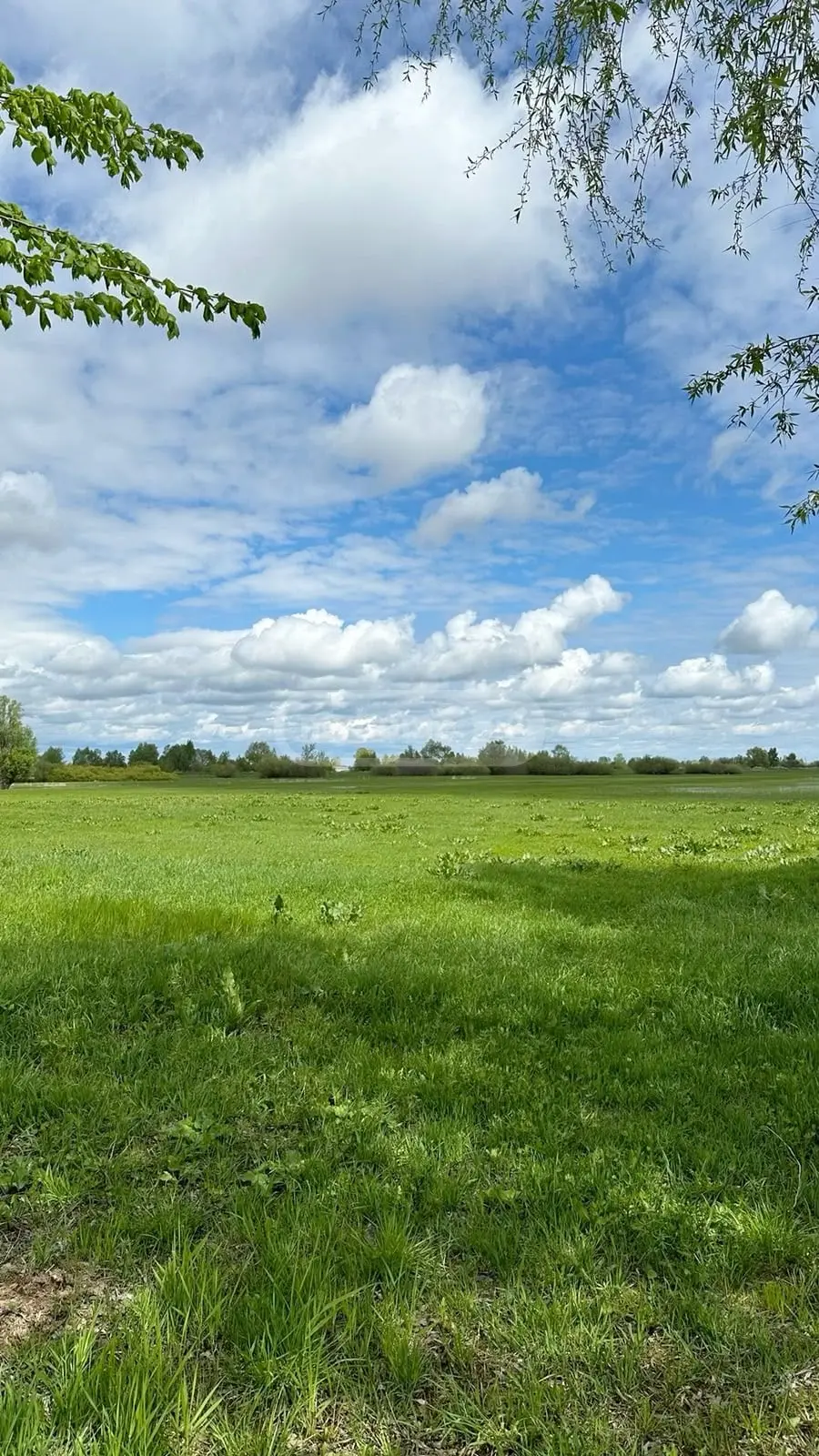 Agricultural Plot Lease In Gori view 1