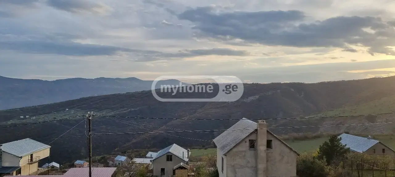 Agricultural Plot For Sale In Vake view 1