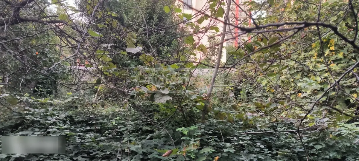Non-Agricultural Plot For Sale In Isani view 5
