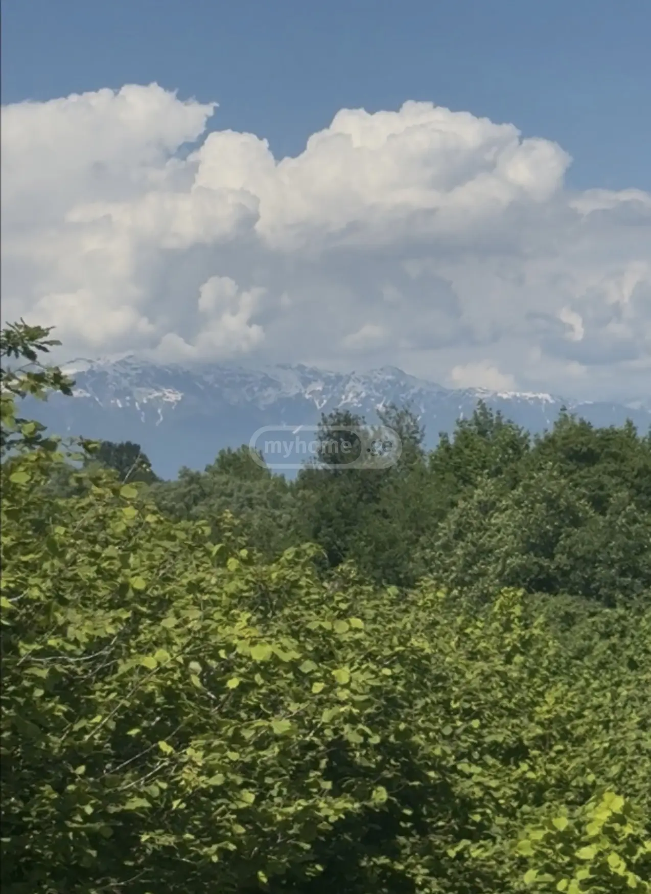Продажа Agricultural Plot в In Zugdidi view 1