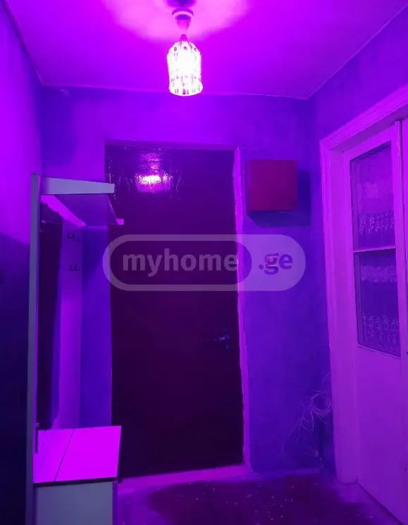 1 Room Apartment For Rent In Samgori view 4