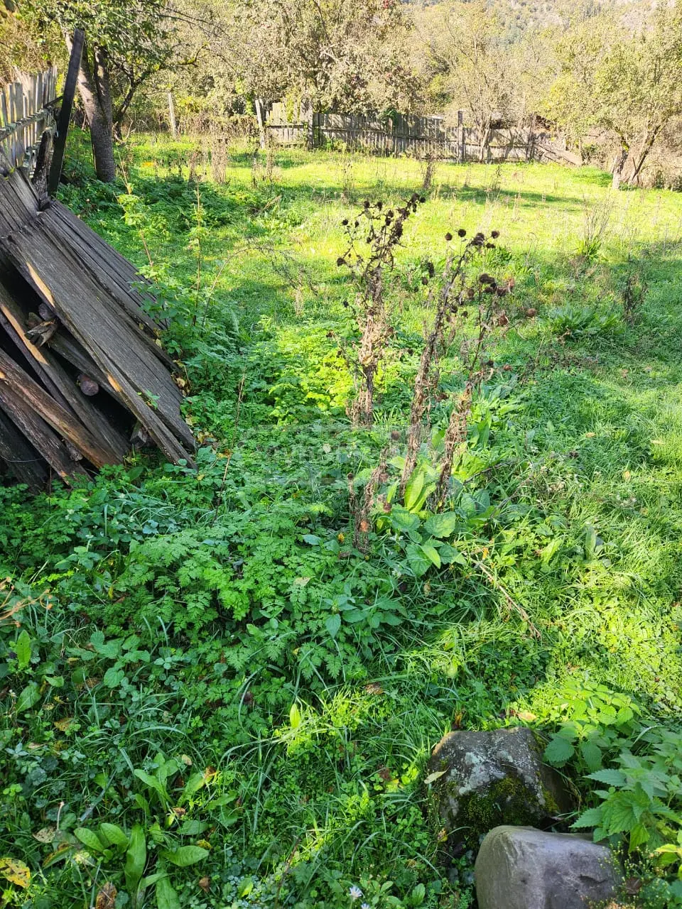 Non-Agricultural Plot For Sale In Borjomi view 2