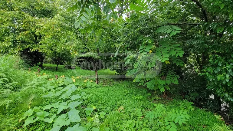 იყიდება Agricultural Plot In Buknari, In Kobuleti Municipalityში view 1