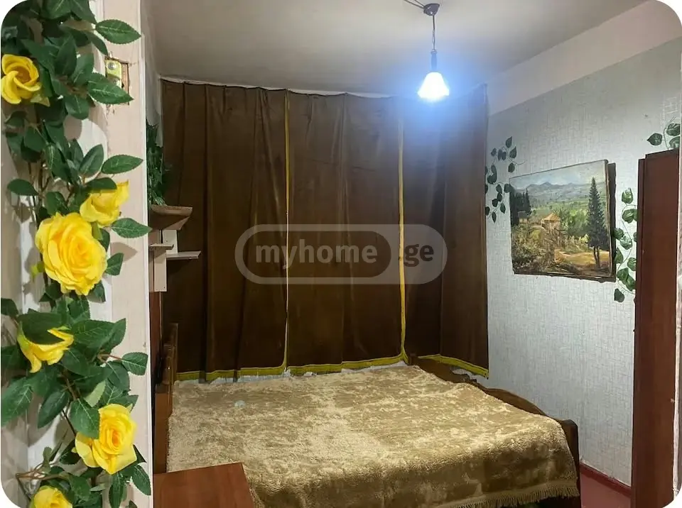 3 Room Apartment Daily Rent In Sololaki view 6