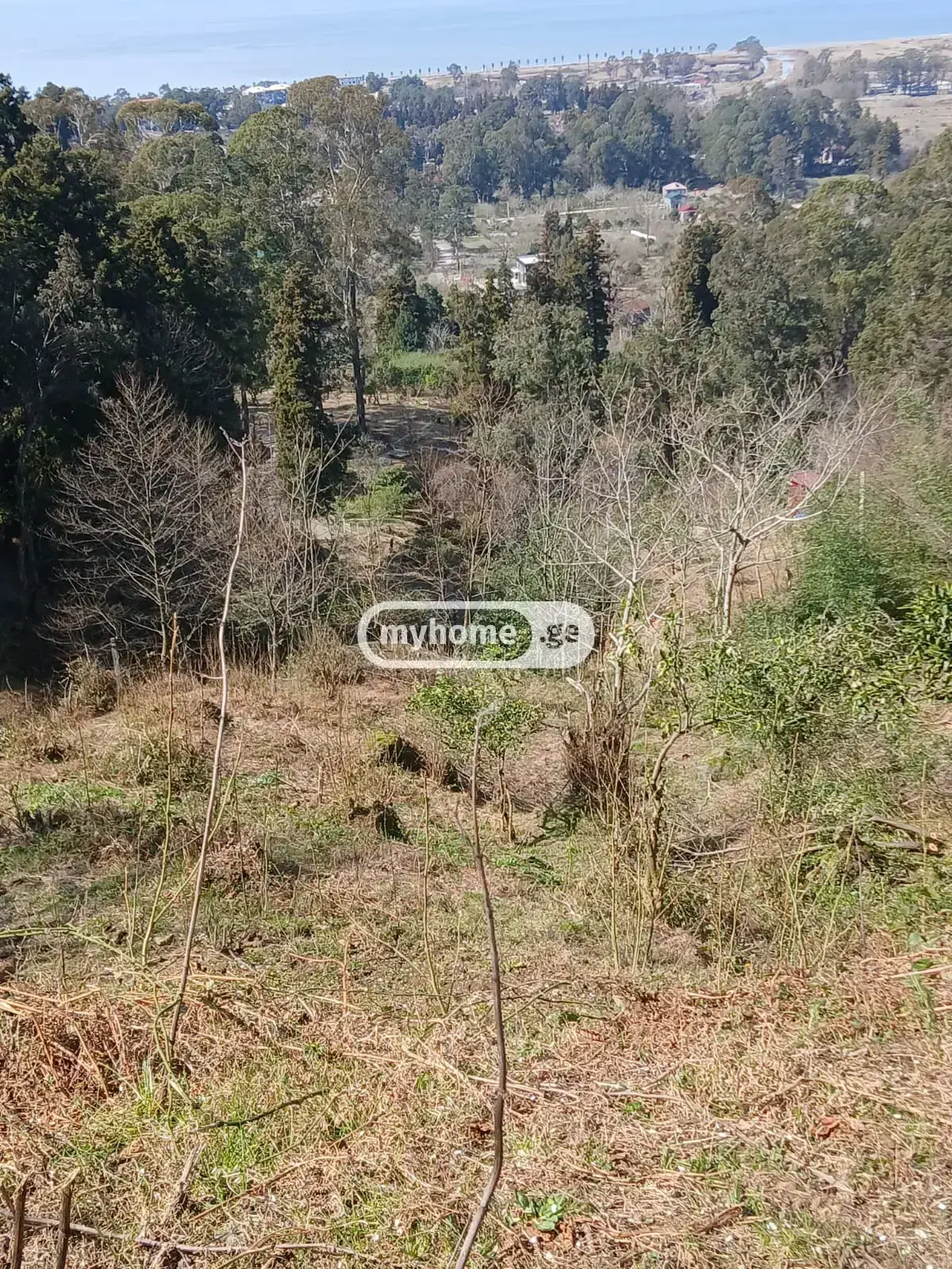 Agricultural Plot For Sale In Gonio, In Khelvachauri Municipality view 3