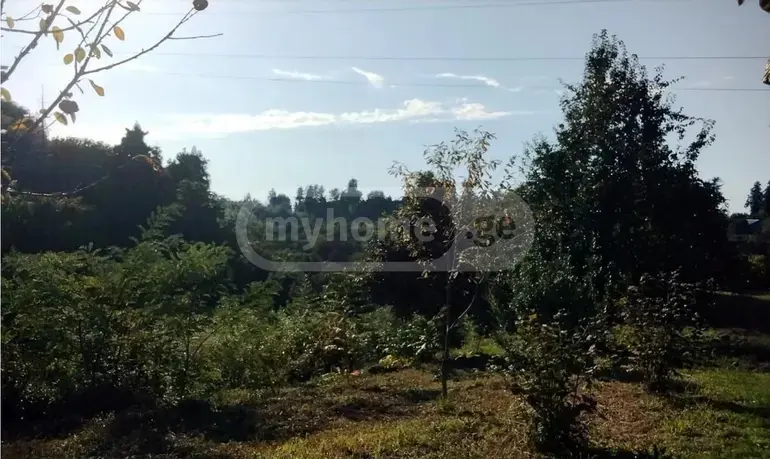 Agricultural Plot For Sale In Kobuleti view 2