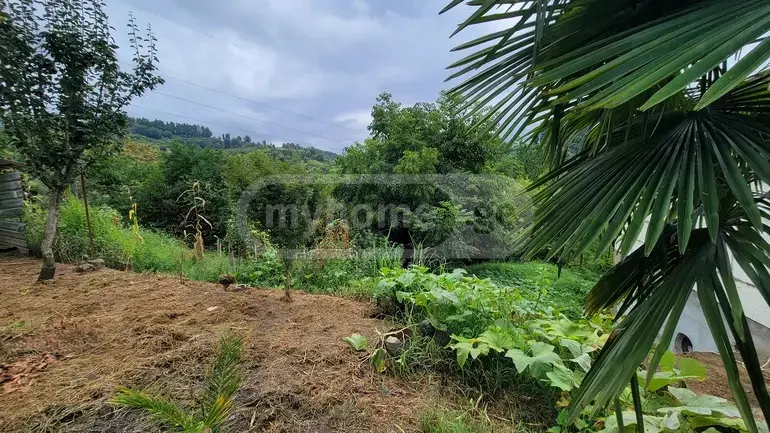 იყიდება Agricultural Plot In Buknari, In Kobuleti Municipalityში view 3