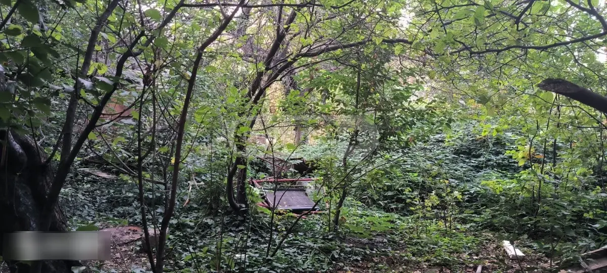 Non-Agricultural Plot For Sale In Isani view 4