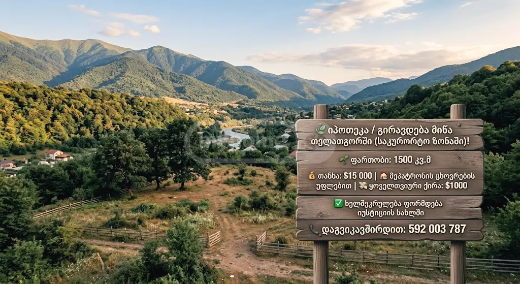 Investment / For Construction Plot Lease In Telatgori, In Kaspi Municipality view 1