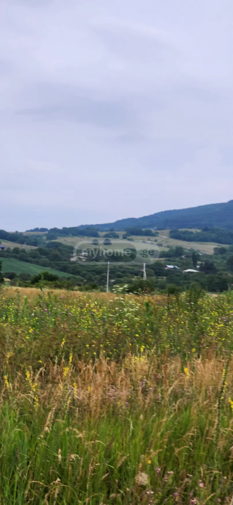 Продажа Agricultural Plot в In Tianeti, In Tianeti Municipality view 5