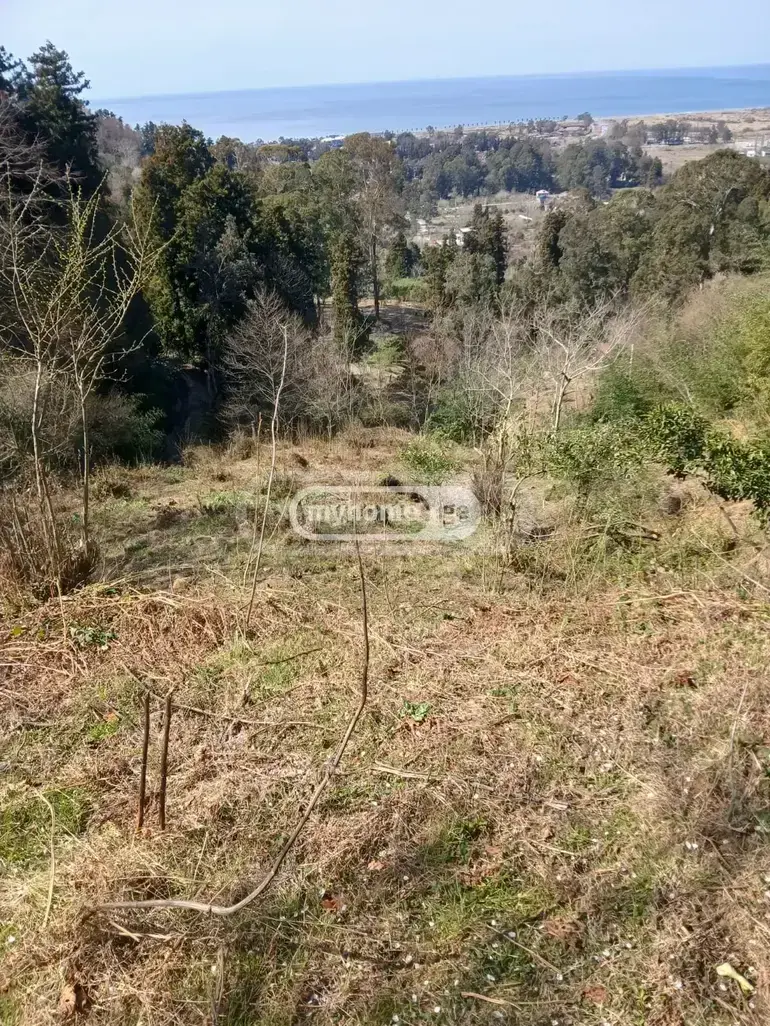 Agricultural Plot For Sale In Gonio, In Khelvachauri Municipality view 2