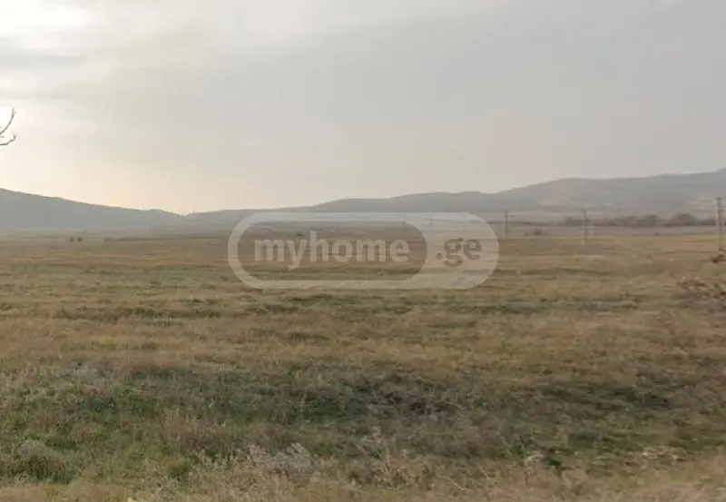 იყიდება Agricultural Plot In Aghaiani, In Kaspi Municipalityში view 1