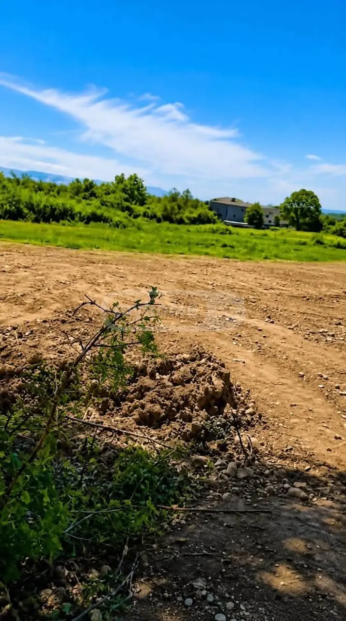 Agricultural Plot For Sale In Manavi, In Sagarejo Municipality view 3