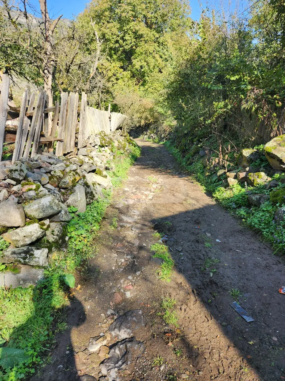 Non-Agricultural Plot For Sale In Borjomi view 4