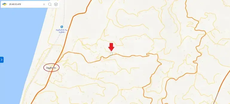 იყიდება Agricultural Plot In Buknari, In Kobuleti Municipalityში view 8