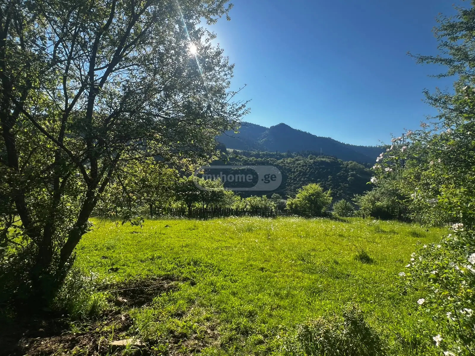 Non-Agricultural Plot For Sale In Kvibisi, In Borjomi Municipality view 4