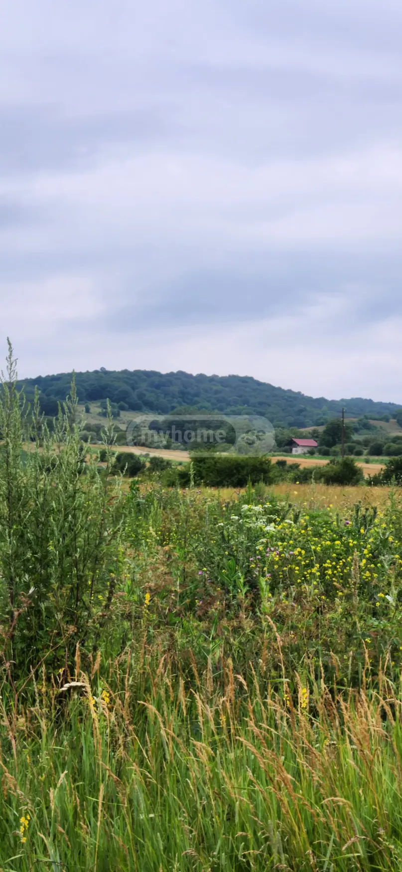 Продажа Agricultural Plot в In Tianeti, In Tianeti Municipality view 11