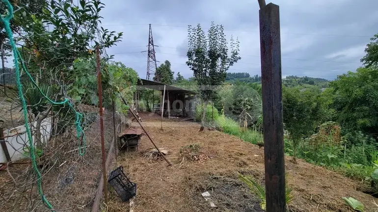 იყიდება Agricultural Plot In Buknari, In Kobuleti Municipalityში view 6