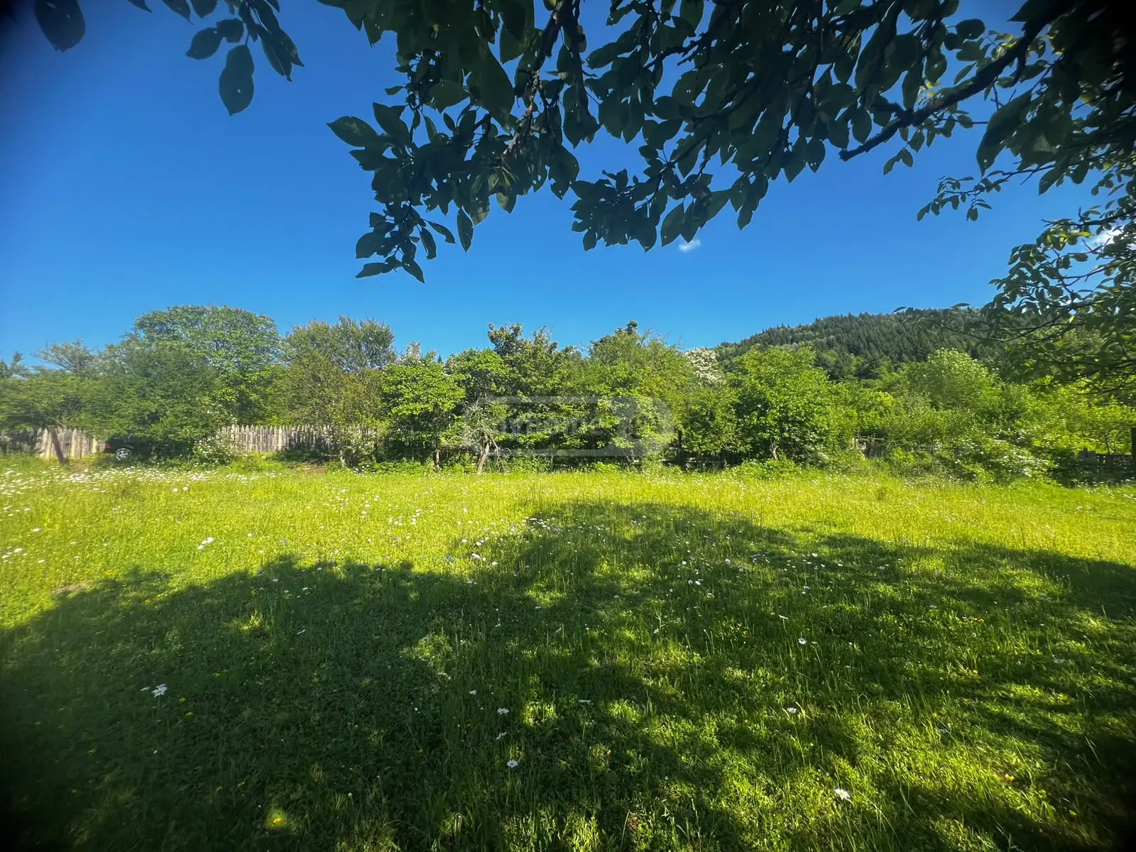 Non-Agricultural Plot For Sale In Kvibisi, In Borjomi Municipality view 2