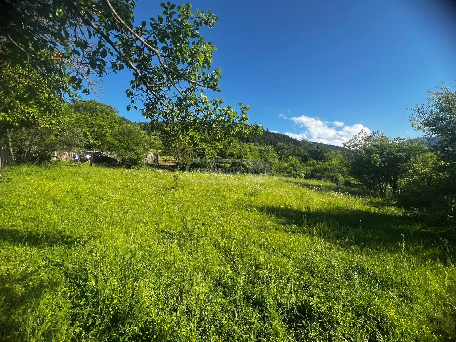 Non-Agricultural Plot For Sale In Kvibisi, In Borjomi Municipality view 5