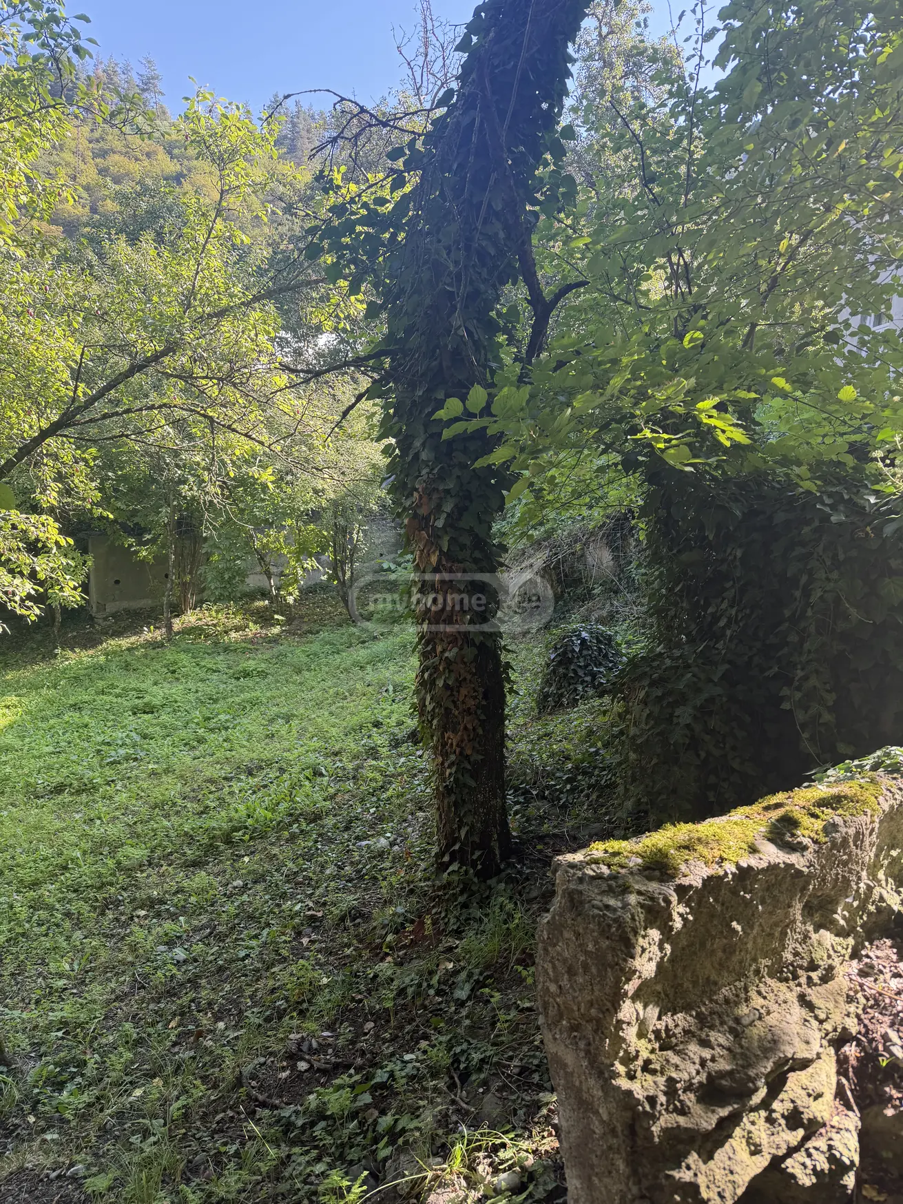 6 Room Private House For Sale view 6