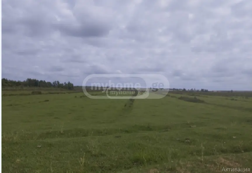 Investment / For Construction Plot For Sale In Anaklia, In Zugdidi Municipality view 2