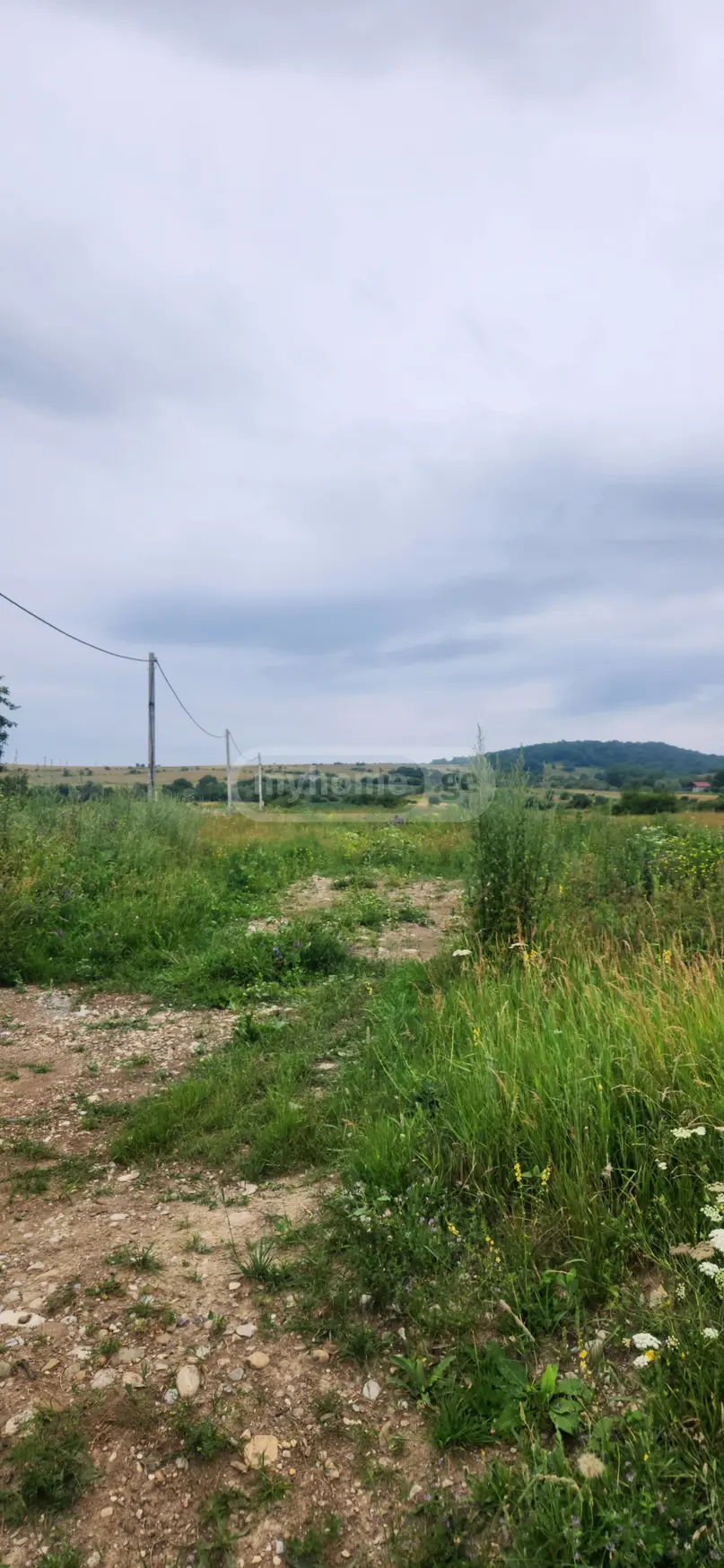 Продажа Agricultural Plot в In Tianeti, In Tianeti Municipality view 8