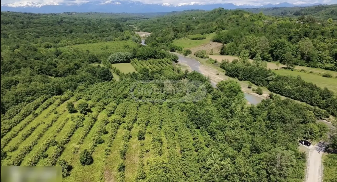 Продажа Agricultural Plot в In Zugdidi view 4