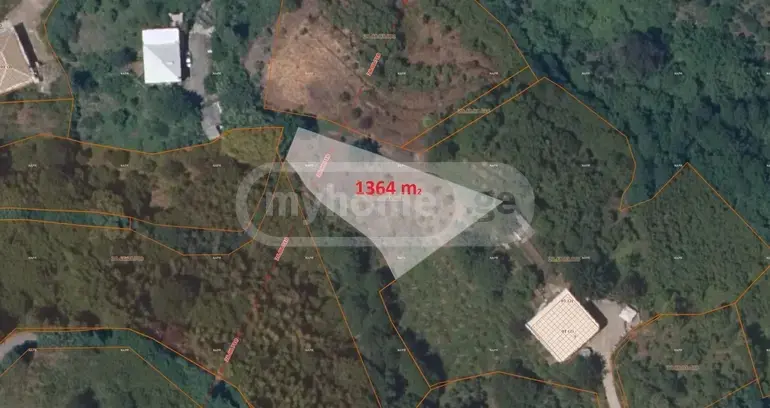 Agricultural Plot For Sale In Kobuleti view 3