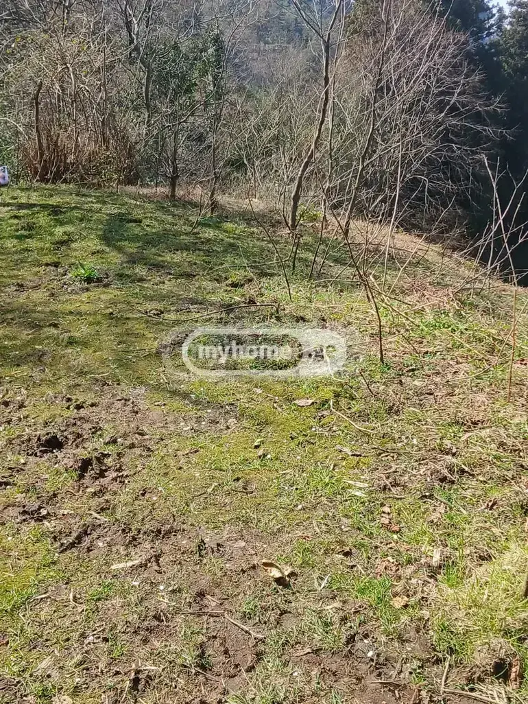 Agricultural Plot For Sale In Gonio, In Khelvachauri Municipality view 1