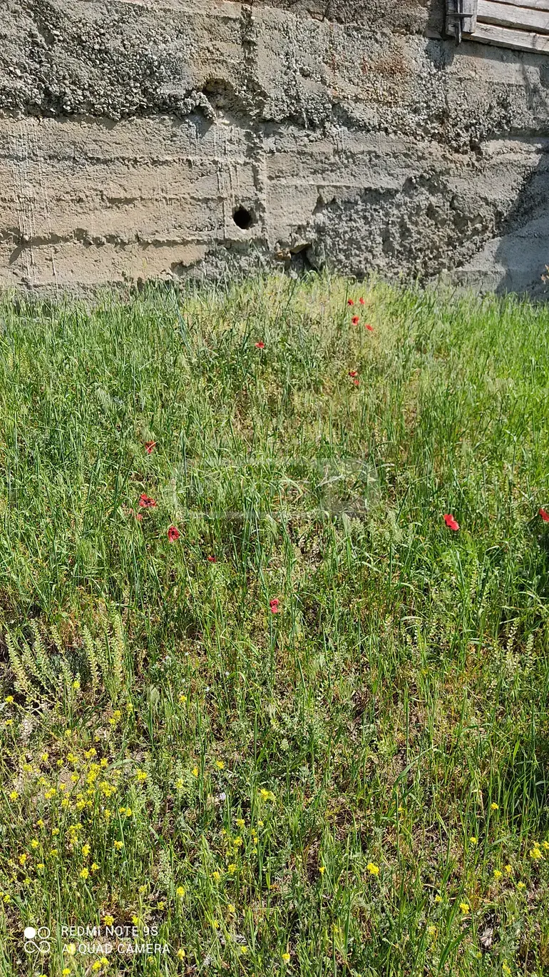 Agricultural Plot For Sale In Vake view 3