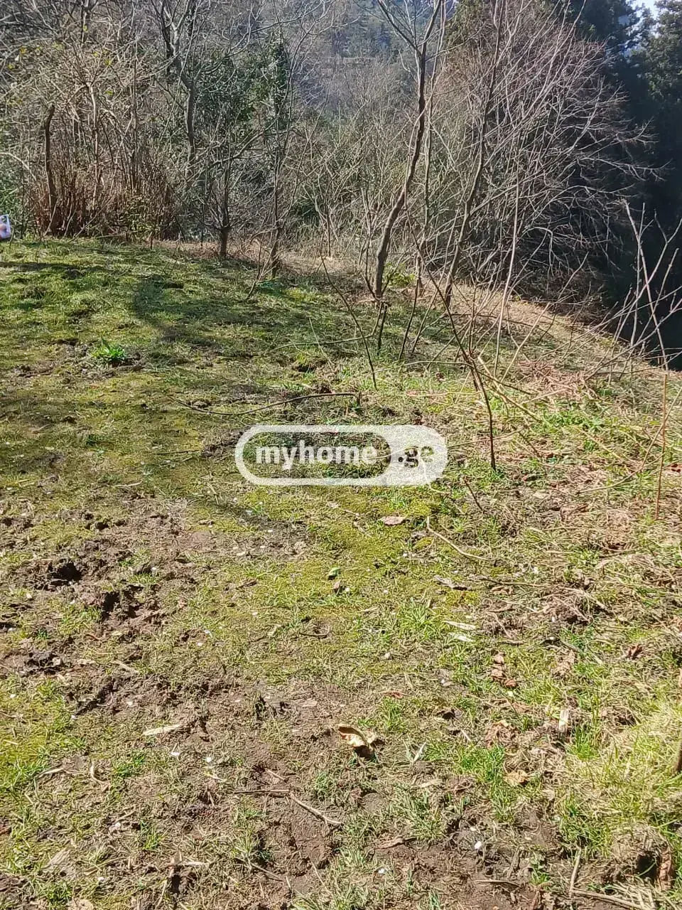 Agricultural Plot For Sale In Gonio, In Khelvachauri Municipality view 1