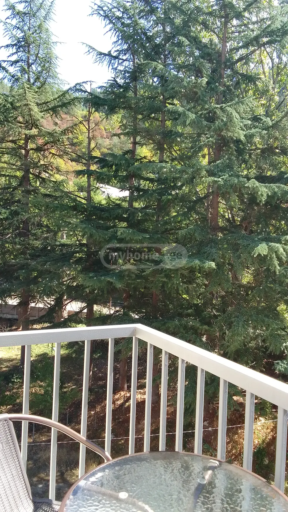 2 Room Apartment For Sale view 9