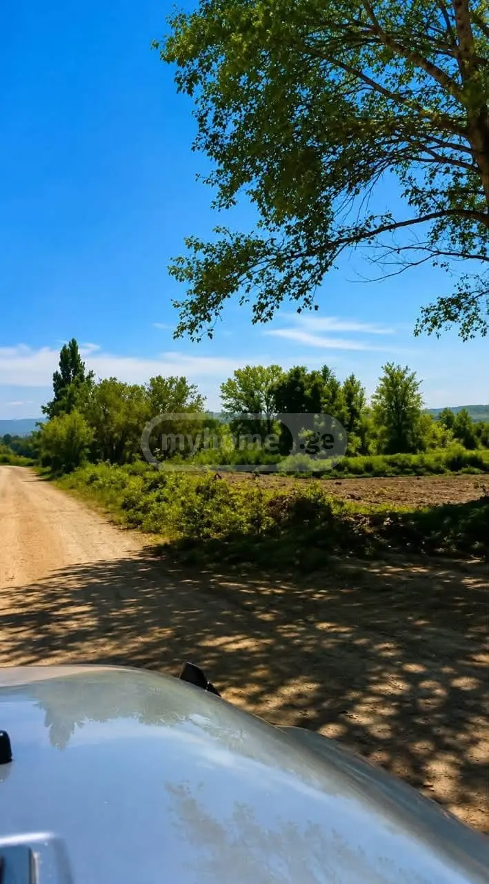 Agricultural Plot For Sale In Manavi, In Sagarejo Municipality view 2