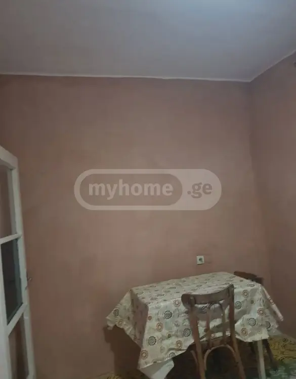 1 Room Apartment For Rent In Samgori view 2